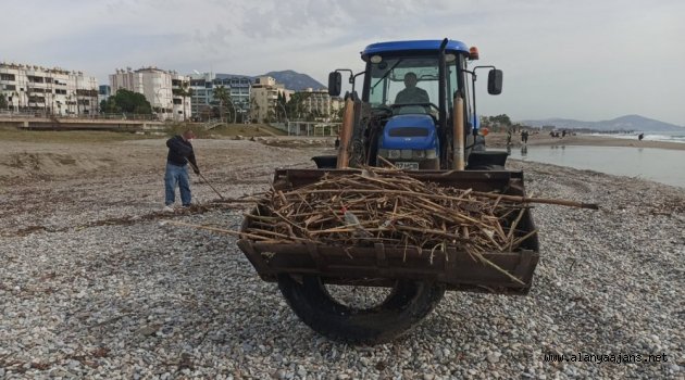Alanya'da sahilleri temizleniyor