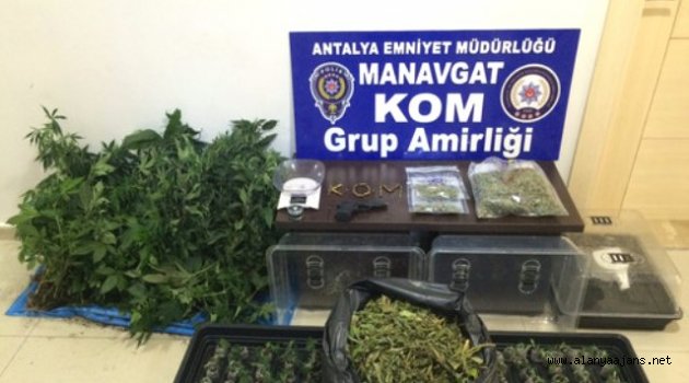 Eve Kenevir Sera Kurmuşlar