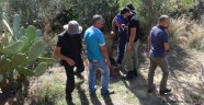 KAYIP TURİST İÇİN UMUT KADAVRA KÖPEKLERİNDE