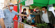 Alanya'da Su Kabağı Projesi