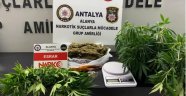 Alanya’da 2 ayrı adrese uyuşturucu baskını