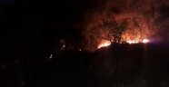 Alanya’da ormanlık alanda yangın çıktı