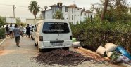 Alanya'da keçiboynuzu hırsızları yakaladı