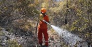 Alanya'da yangın: 5 dönümlük arazi zarar gördü 