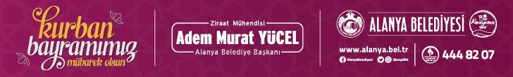 Reklam