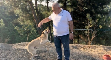 Alanya’da sokak hayvanları ile ilgili projesini açıkladı