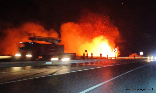 Alanya'da sazlık alanda çıkan yangın söndürüldü