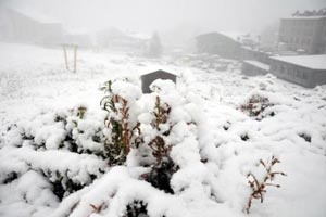 Bolu Dağı'nda yoğun kar yağışı