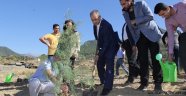 ALKÜ ağaçlanıyor...