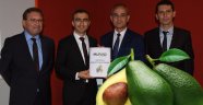 Avokado Endüstriye Dönüştürülecek