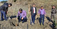 CEZA EVİNDE GOJİ BERRY DÖNEMİ BAŞLIYOR