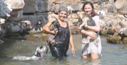 KÖPEKLER DENİZE AKIN ETTİ